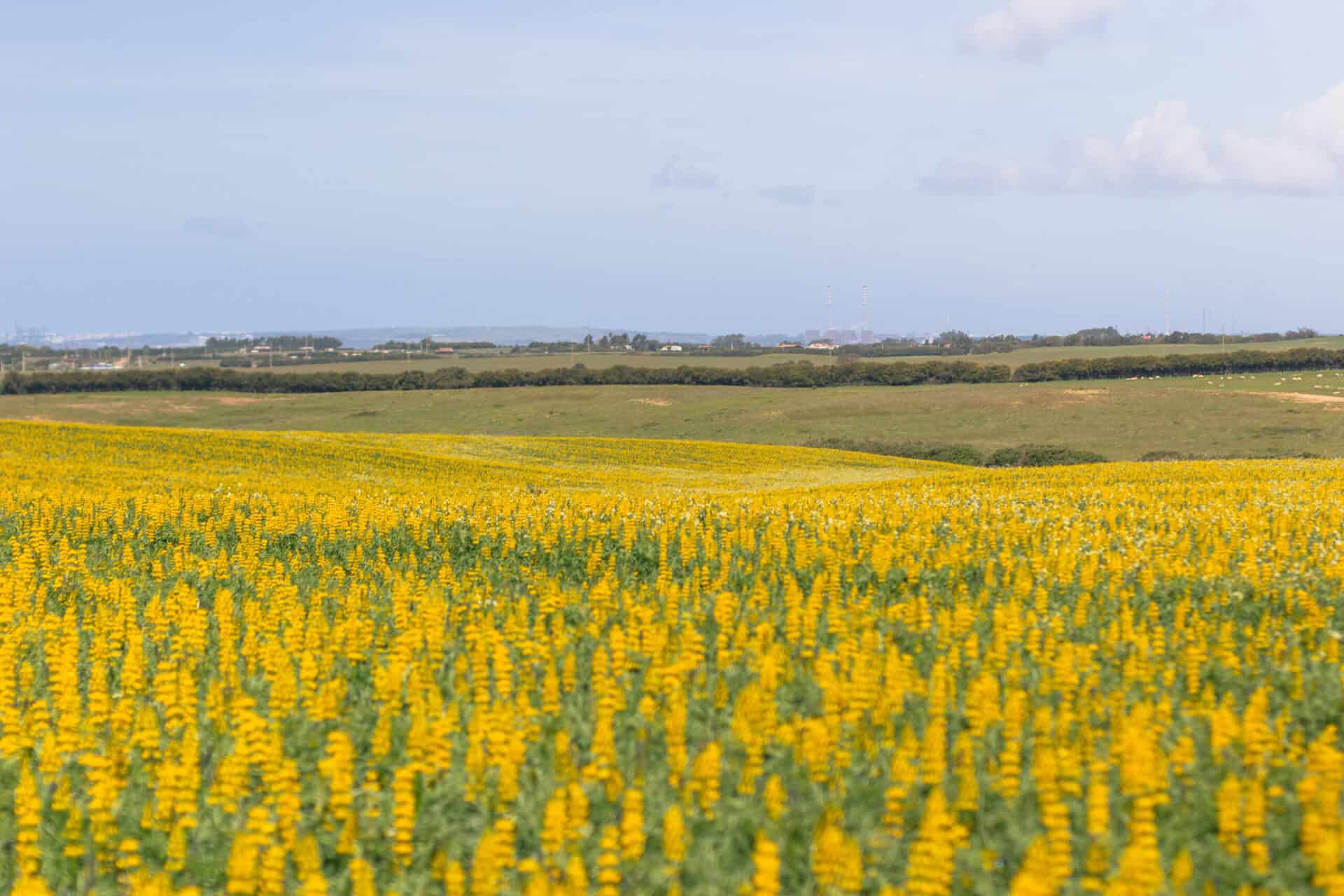 bike tour in the southwest coast alentejo and algarve 3